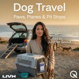 Dog Travel - Up, Up, and A-Woof: The Complete Guide to Flying With Your Dog