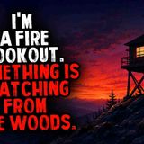 I_m a Fire Lookout. Something Is Watching From the Woods. _ Creepypasta