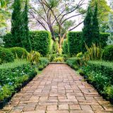 Different types of natural stone