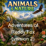 Adventures of Reddy Fox version 2 - Thornton W Burgess