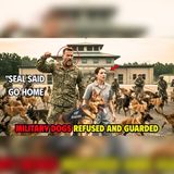 A Navy SEAL Gave One Order—100 Dogs Refused to Leave | Dog Story Audiobook