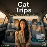Cat Trips - Skies, Stays & Settling In: Flying and Destination Planning with Cats