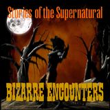 Bizarre Encounters | Interview with Lon Strickler | Podcast