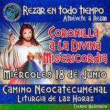 CORONILLA A LA DIVINA MISERICORDIA DE HOY. MIERCOLES 18 DE JUNIO 2025. 🙏 REZAR EN TODO TIEMPO.       