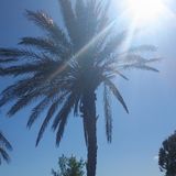 Warum wir NICHT in den Faschismus schlittern .m4a