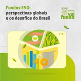 Fundos ESG: perspectivas globais e os desafios do Brasil