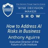 #183: How to Address AI Risks in Business: Anthony Aguirre of the Future of Life Institute