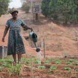 4 settembre 2025 - Notiziario Africa