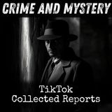 10 - TikTok - Collected Reports by Various