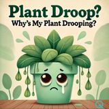From Droopy Ferns to Life Mysteries: A Tinkerers Guide to Unexpected Plant Resilience