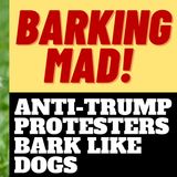 DERANGED ANTI-TRUMP PROTESTERS BARK LIKE DOGS