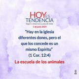 La escuela de los animales ~ Devocional de Jóvenes ~ 1 de junio 2025