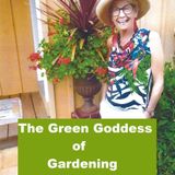HumorOutcasts Interview with Patricia H McLoud "The Green Goddess of Gardening"