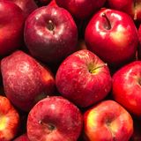Quintili (“Il Salvagente”): quale qualità di mele toglie il medico di torno?