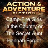 Camp-Fire Girls in the Country or The Secret Aunt Hannah Forgot - Stella M Francis