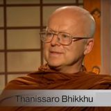 Kwestia umiejętności - wywiad z Thanissaro Bhikkhu [LEKTOR PL]