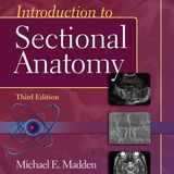 Introduction to Sectional Anatomy (Point (Lippincott Williams & Wilkins))