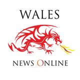 Whose Wales with Gwynoro Jones