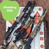Mossberg 500 590 Maverick 88 - the Pump Action Shotgun that sets the standard