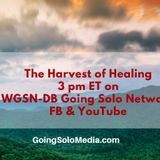 The Harvest of Healing with Davida Smith