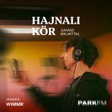WimmR: Nagyon jó olyan emberekkel találkozni, akikkel könnyű alkotni | Park FM – Hajnali Kör