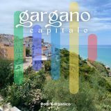 Rodi Garganico: tra il mare e i giardini di agrumi