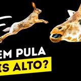 Quem Salta Mais Alto No Mundo