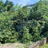 Cleanup Underway After Severe Thunderstorms Hit Attleboro, Rehoboth