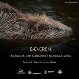 Episode 1 Bæveren vender tilbage