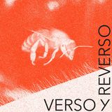 Te hiere soñar en español | Paloma Chen