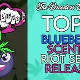 Breeders Syndicate 2.0 - Top 5 Most Blueberry Scented Seed Lines