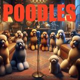 Poodles - Beauty, Brains and Versatility and Introduction