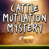 Cattle Mutilation Mystery