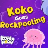 Koko Goes Rock Pooling _ Sleep Meditation Story _ Koala Moon Bedtime Stories