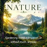 Gardening Without Irrigation or without much anyway - Steve Solomon