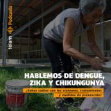 Hablemos de Dengue, Zika y Chikungunya