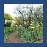 #194 Il Giardino Come un Figlio: Cura, Attesa e Rispetto per Farlo Crescere Bene