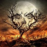 Tales of Halloween