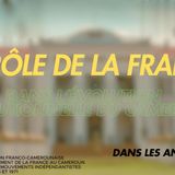 Le rôle de la France dans l'évolution institutionnelle du Cameroun