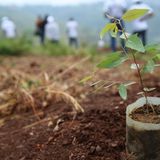 Le journal du 22 avril 2025 - Célébration de la journée mondiale de la terre