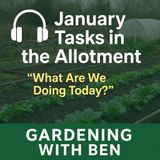 🎧 🌱 January Tasks in the Allotment | What Are We Doing Today?
