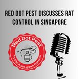 Red Dot Pest Discusses Rat Control in Singapore