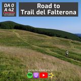 Road to Trail del Falterona