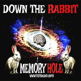 Down the Rabbit Memory Hole (5/21/25)