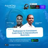 Pathways to CONSISTENT Cash flow in Aquaculture Business with Mr Olatoye Fajimi