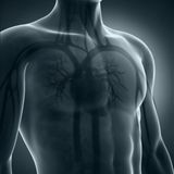 S132E12: EveryThing About The Human Body They Can Actually Make - Trevor Gear On Science And Humans