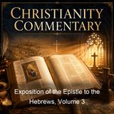 Exposition of the Epistle to the Hebrews Volume 3 - John Owen Edward Williams - Part 3