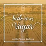 E2 - As histórias que as pedras contam