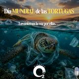 NUESTRO OXÍGENO levantamos la voz por ellas, día mundial de las tortugas – Dr. Diego Amorocho