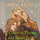 A Court of Thorns and Roses Ep 2